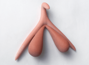 The Mysterious Clitoris Uncovered | Dakini Oceana