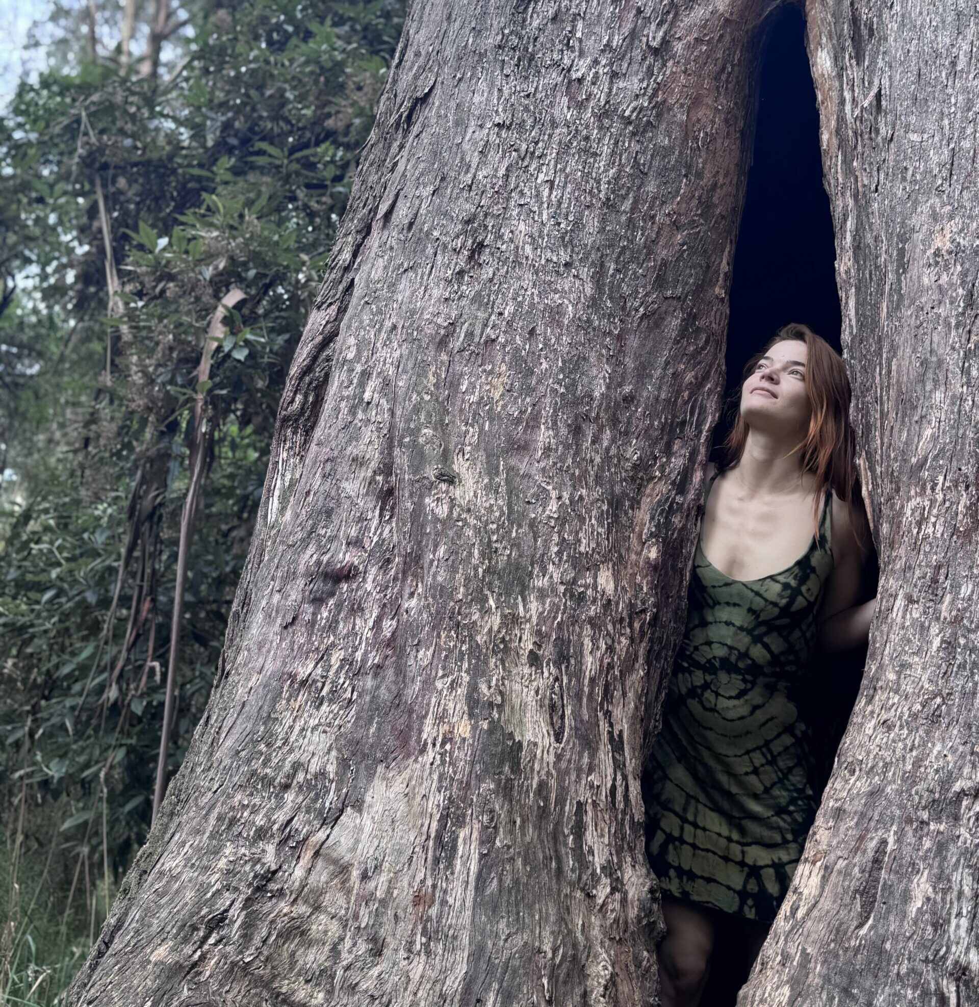 Sacred Intuitive Touch | Portland, OR | Clarity Rose