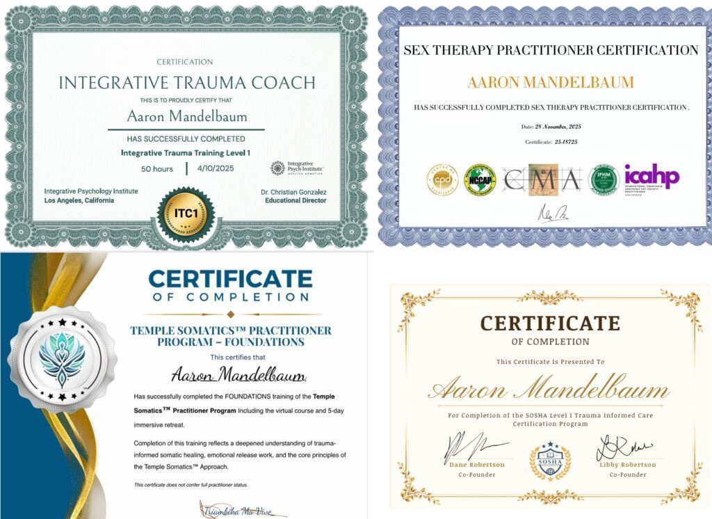 Aaron's professional certificates