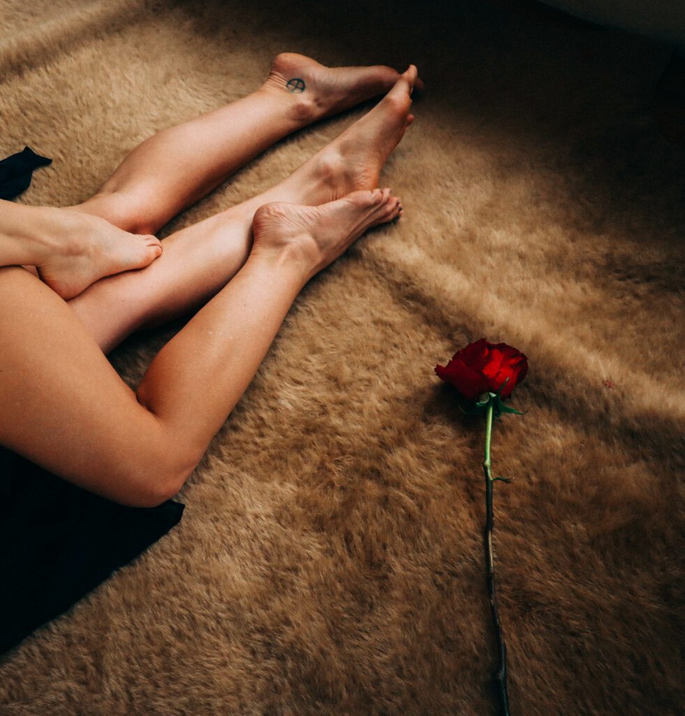 Blanket on the floor with entangled 4 legs and a red rose.