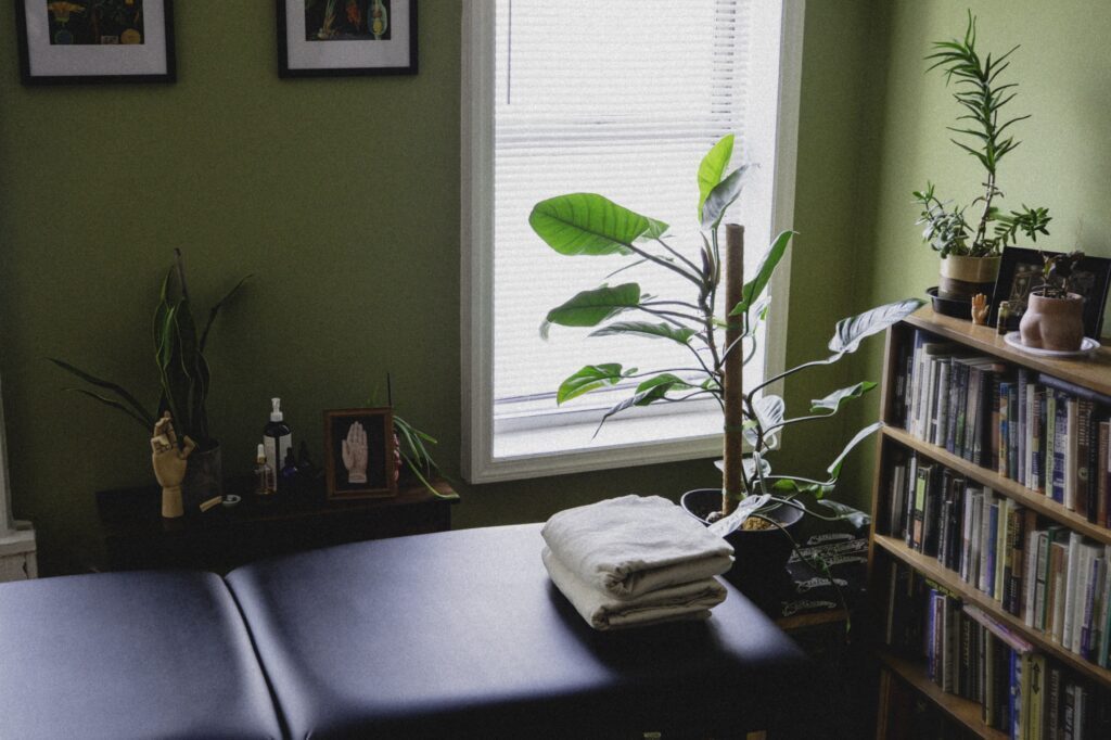 The space of Eric - massage table, some plants, bookshelf.