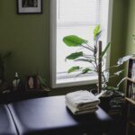 The space of Eric - massage table, some plants, bookshelf.