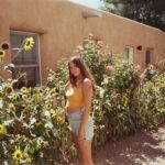 Row of sunflowers. Amethyst at the front in shorts.