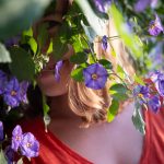 Heather peeking out from a flower bush.